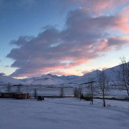 Höfði Cottages Dalvík Exteriör bild