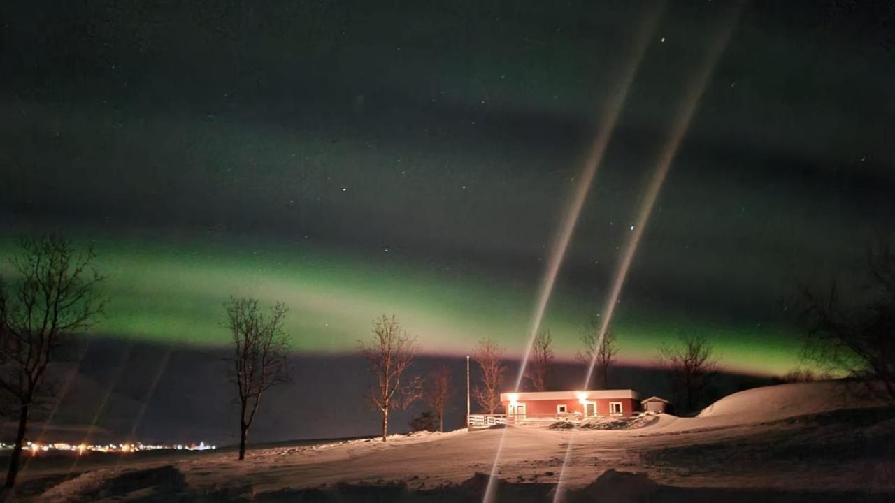 Höfði Cottages Dalvík Exteriör bild