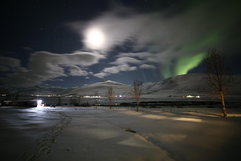 Höfði Cottages Dalvík Exteriör bild