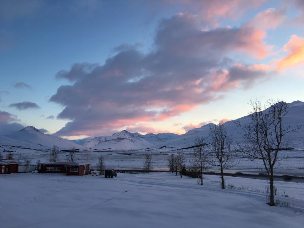 Höfði Cottages Dalvík Exteriör bild