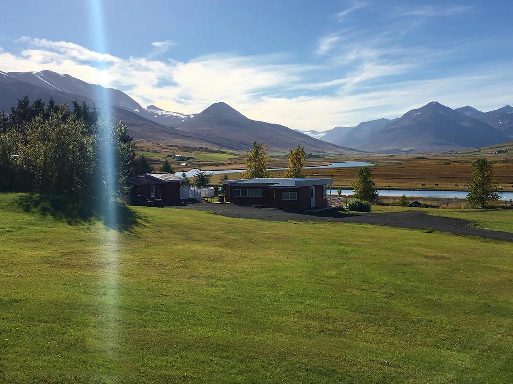 Höfði Cottages Dalvík Exteriör bild